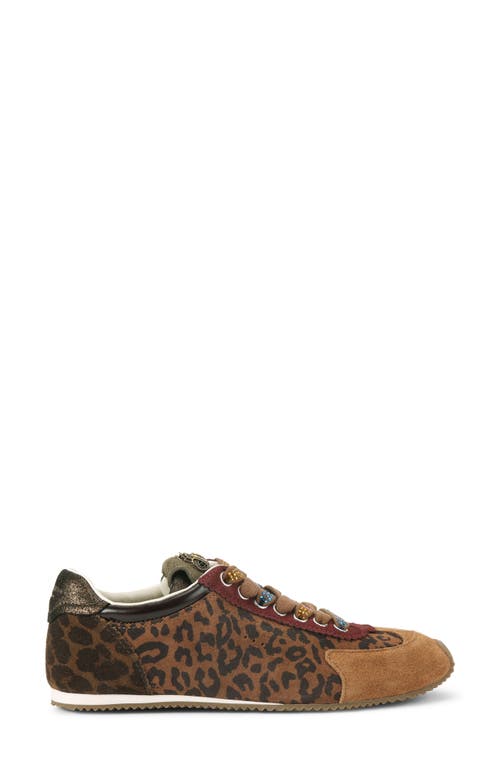 Kurt Geiger London Islington Sneaker In Animal Print