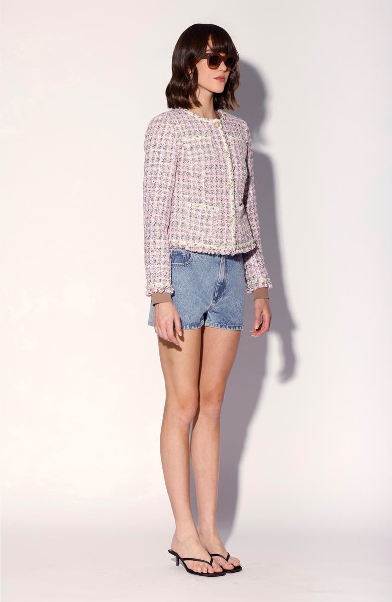 Walter Baker Farah Tweed Jacket, Alternate, color, Carousel Tweed