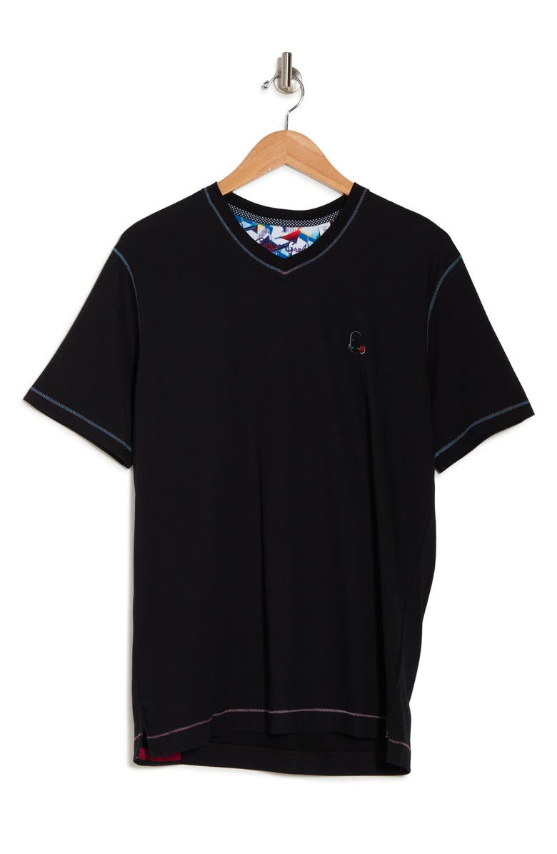 Robert Graham Eye of the Skull Short Sleeve V-Neck T-Shirt, Alternate, color,
