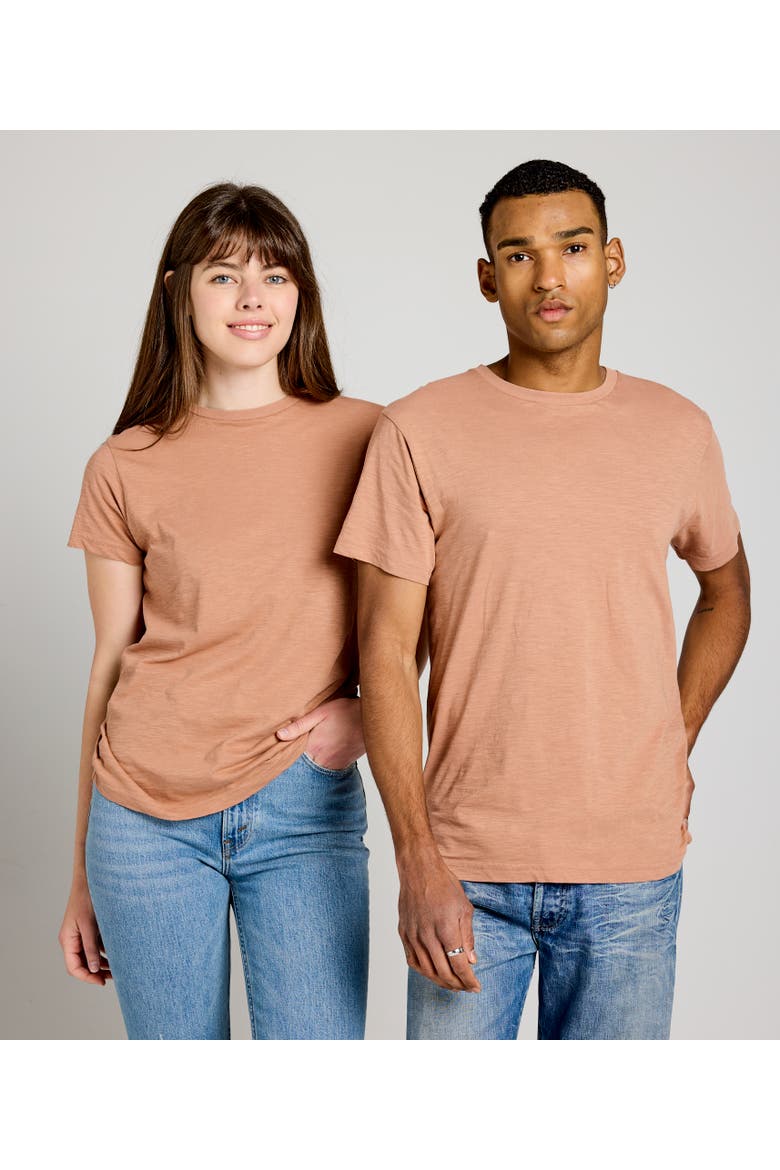 Featherweight Unisex Tee, Alternate, color, Clay