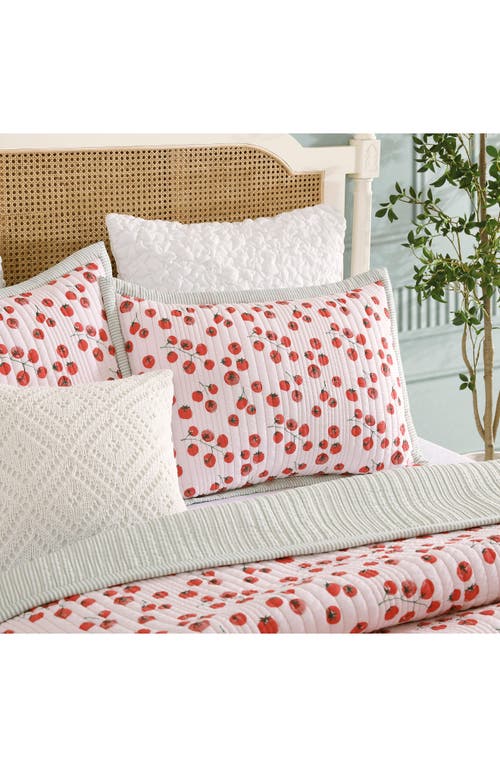 Peri Home Tomayto-tomahto Quilt & Sham Set In Pink Multi