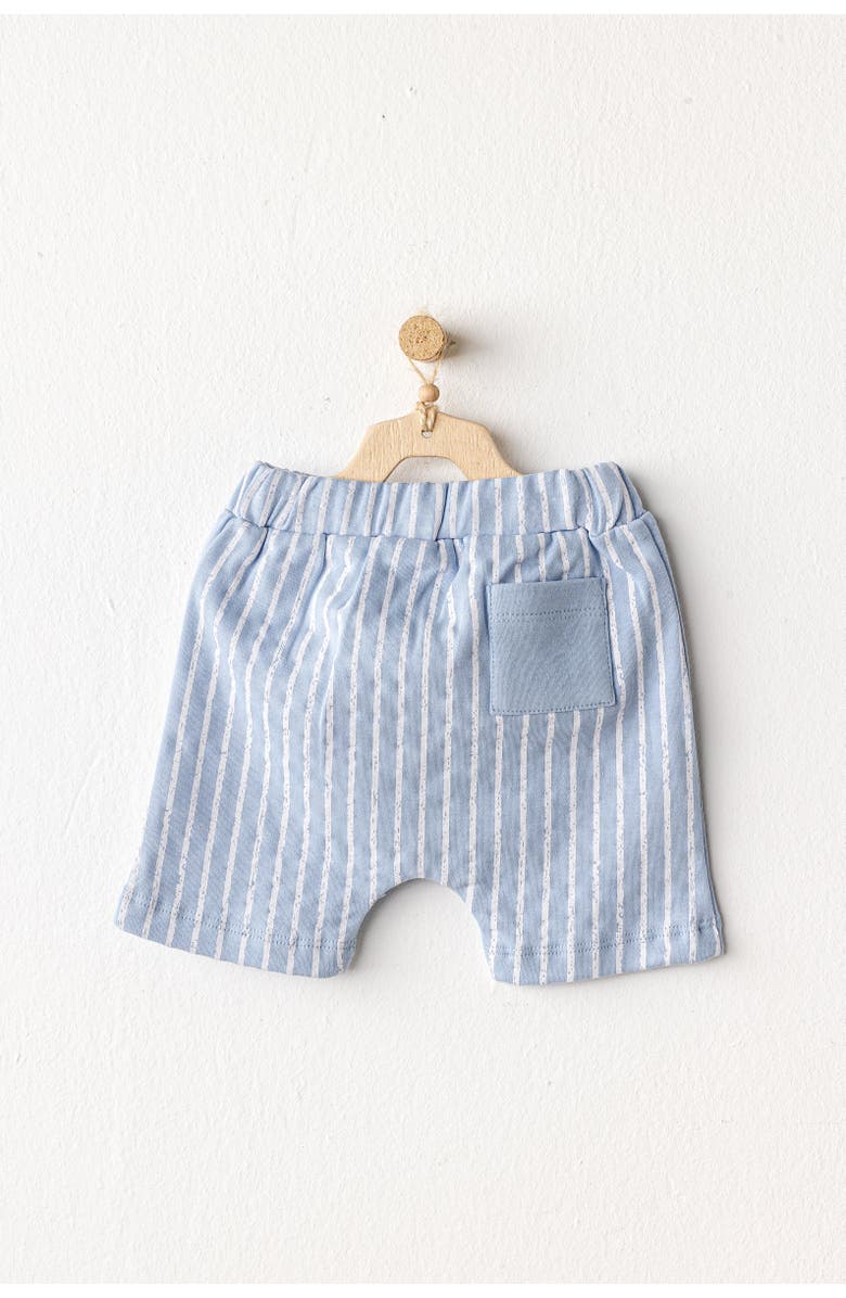 Andy Wawa Shorts Dinosaur Shirt Outfit Set, Alternate, color, Light Blue