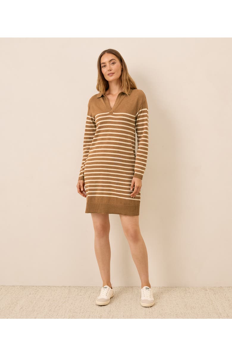 Pact Organic Cotton Classic Fine Knit Collared Sweater Dress, Main, color, Del Norte Stripe