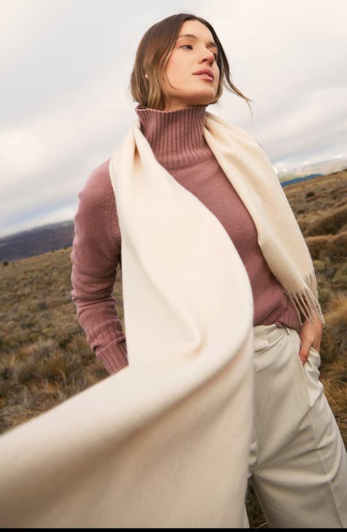 ITALIC ITALIC CASEY CASHMERE SCARF