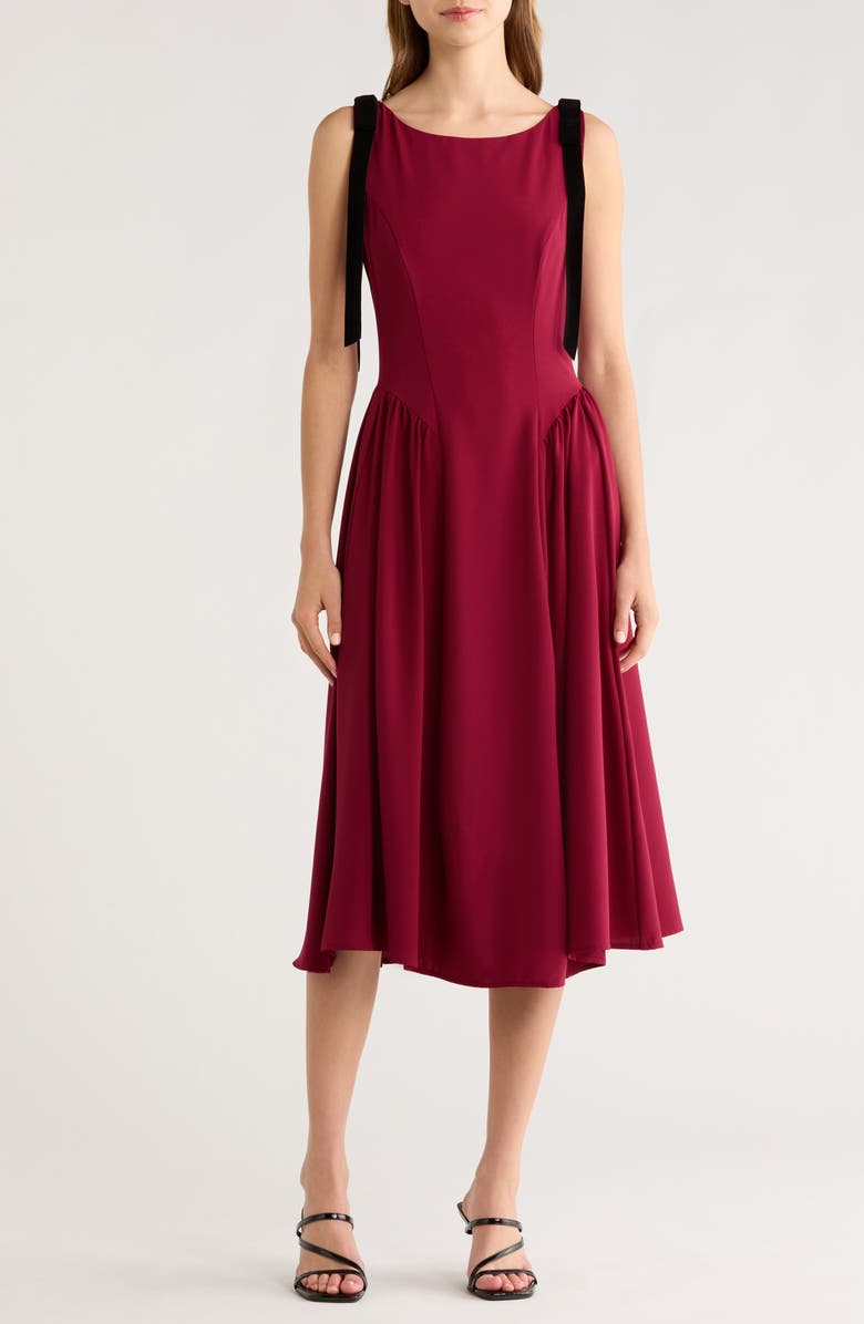 All in Favor Sleeveless A-Line Midi Dress, Main, color, Wine Black