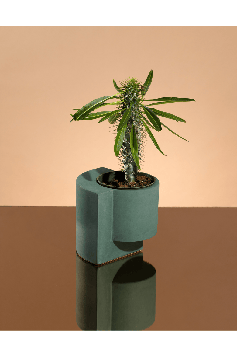 Platform Planter Concrete, Alternate, color, JUNGLE