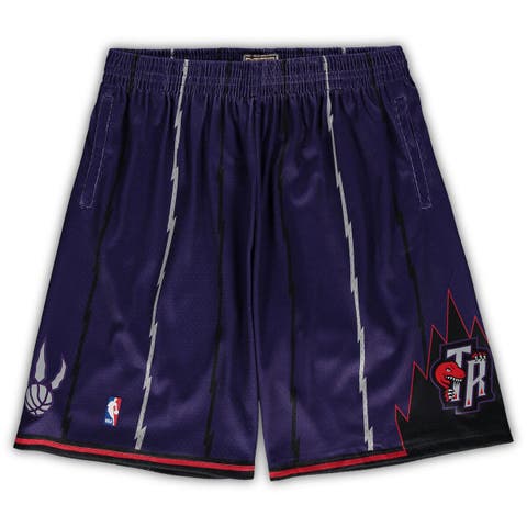 Men's Mitchell & Ness Purple Toronto Raptors Big & Tall Hardwood Classics Team Swingman Shorts