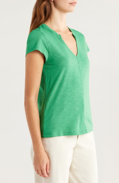 Sanctuary The New Girl Split Neck T-shirt In Green