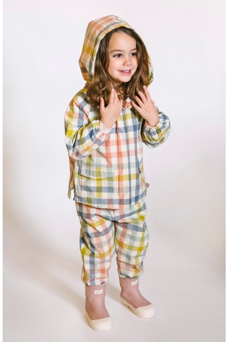 Kids' Park Hooded Jacket, Alternate, color, PICNIC
