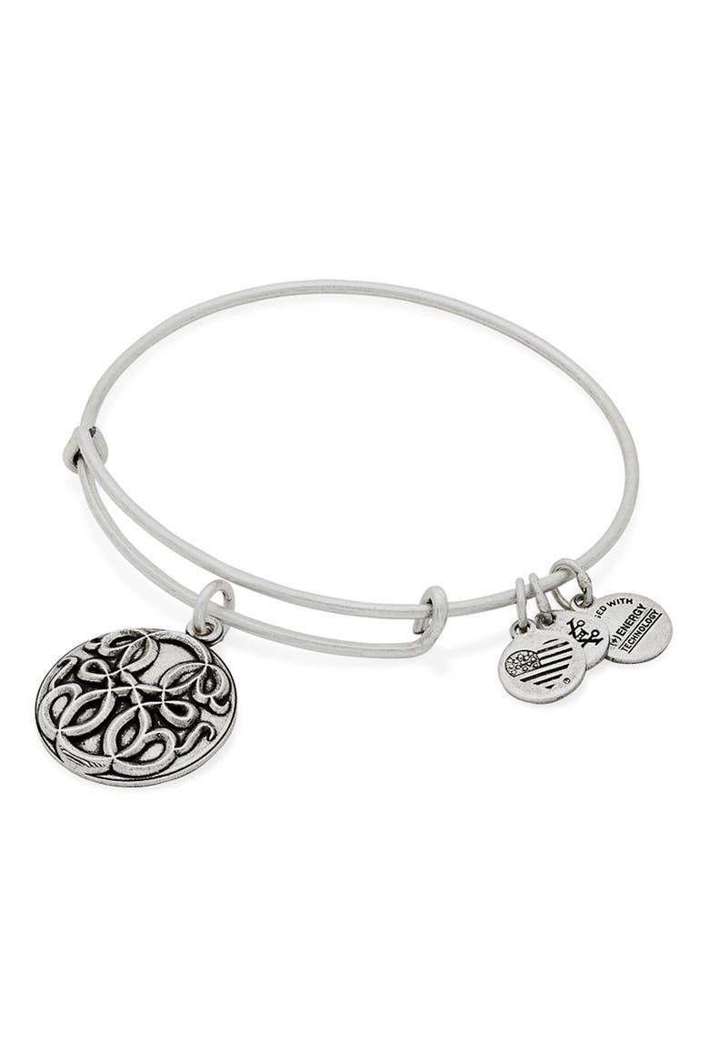 'Path of Life' Charm Bracelet, Alternate, color, SILVER