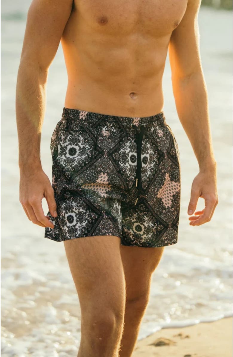 Ivy Swimwear Hudson Swim Shorts, Alternate, color, Black