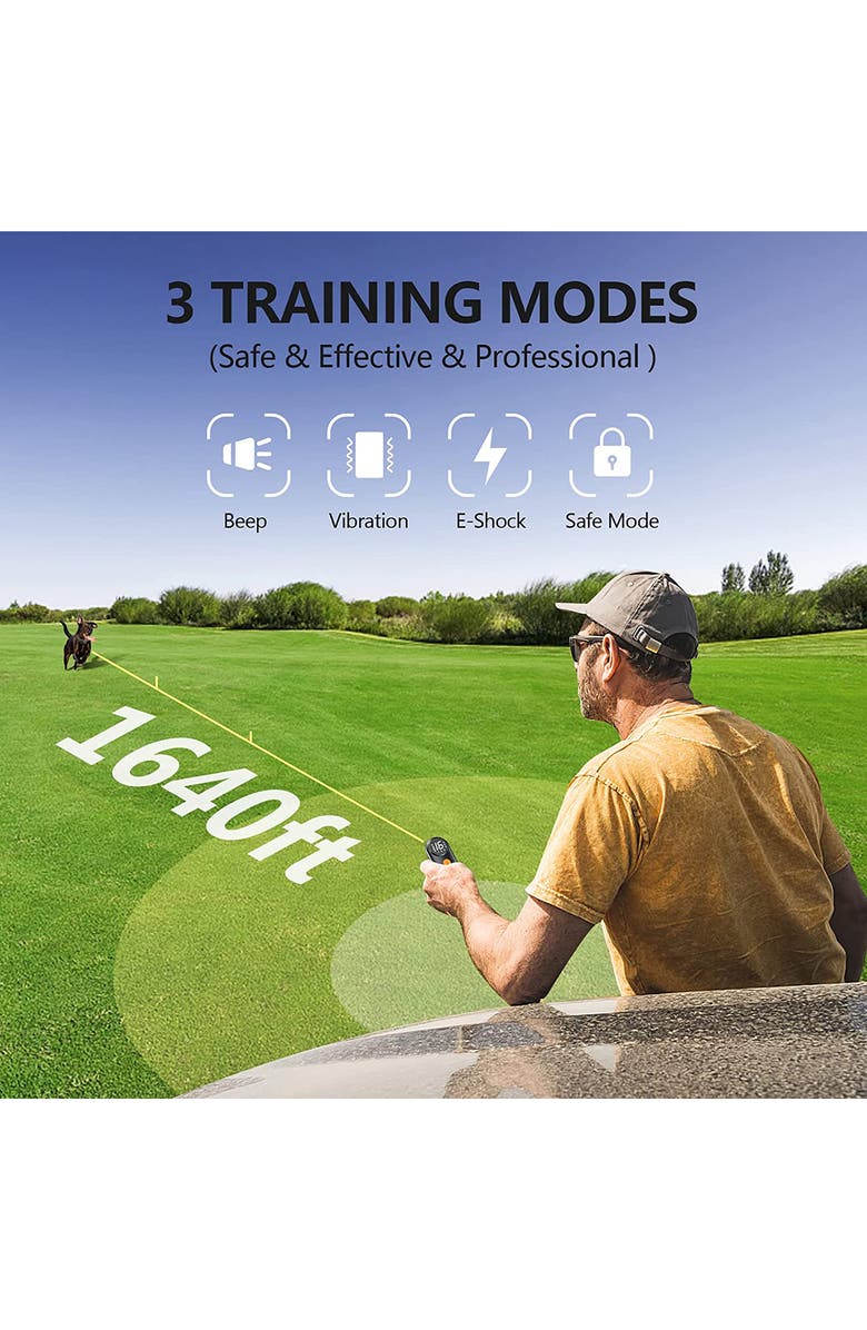 PET LIFE Ellipse LED 1-to-3 Dog 550-Yard Range 16-Level Vibration Sound and Stimulation Training Dog Collar, Alternate, color, 