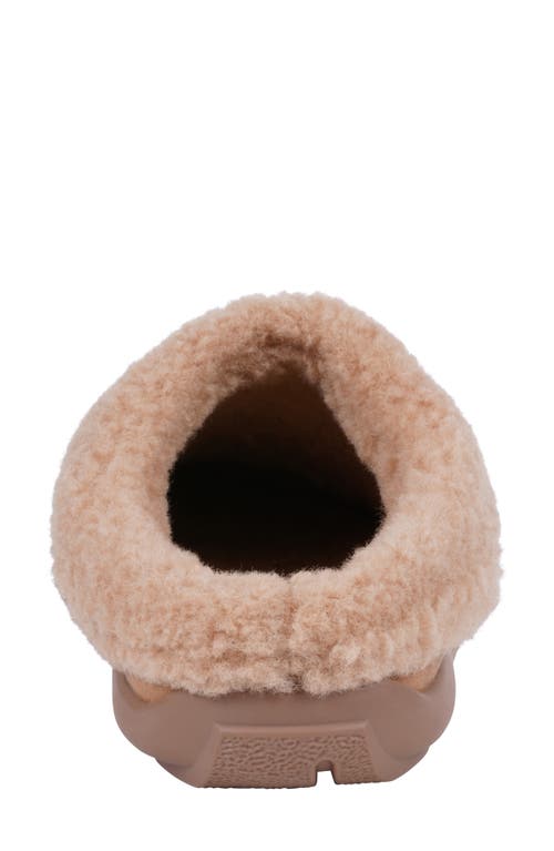 Gc Shoes Shari Faux Shearling Lined Mule In Multi