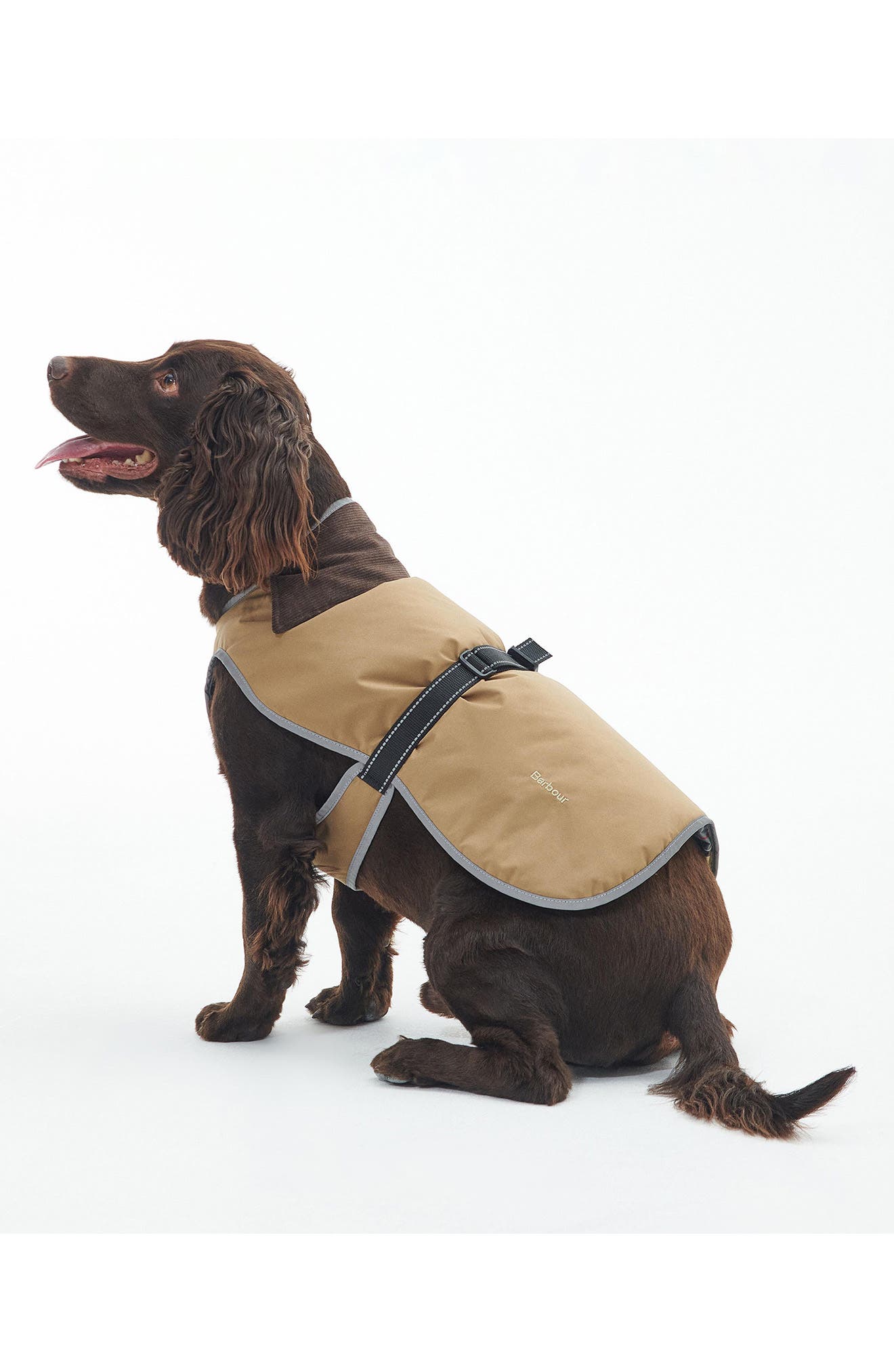 Barbour Monmouth Waterproof Dog Coat