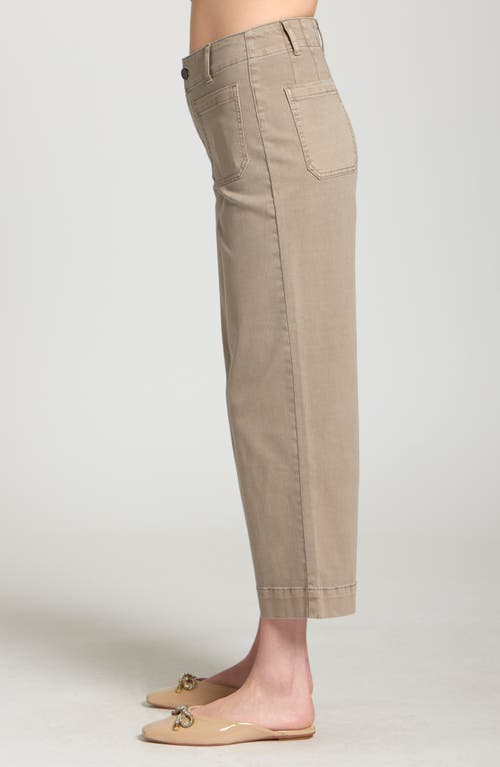 Apny Wide Leg Ankle Jeans In Brown