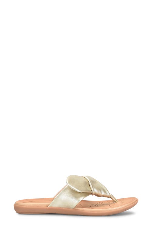 B O C By Børn Halle Sandal In Champagne