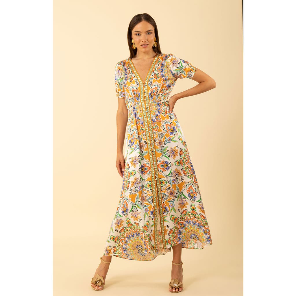 Hale Bob Ila Maxi Dress In Brown