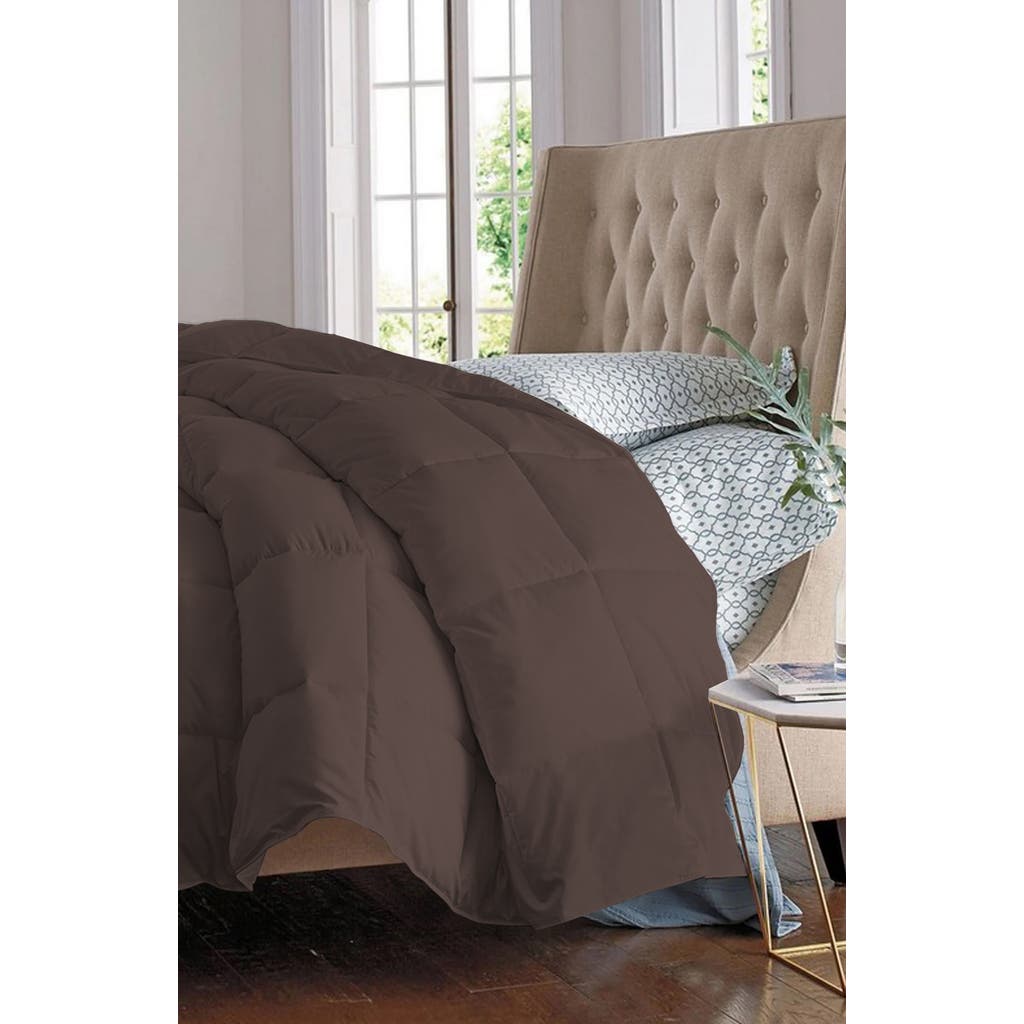 Shop Luxury Home Solid Brown Microfiber Comforter