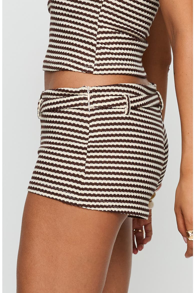 Olimpia Belted Micro Shorts, Alternate, color, BROWN STRIPE