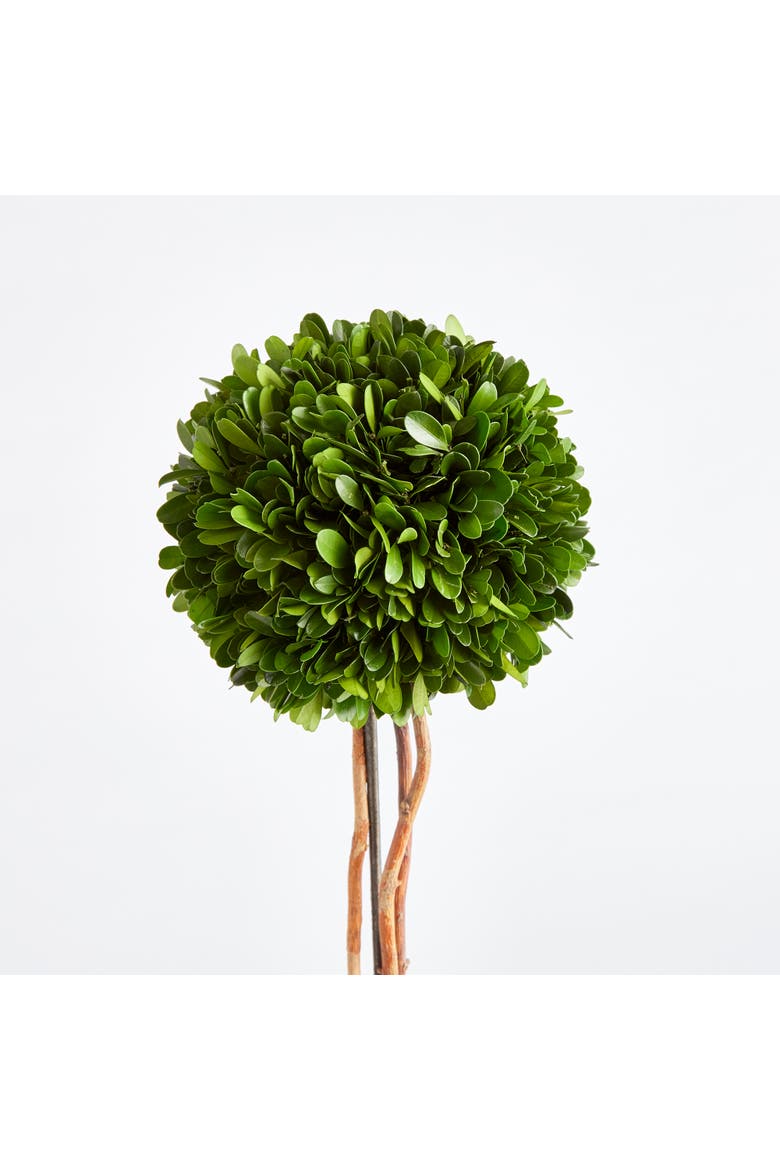 Boxwood Single Sphere Topiary Drop-In 24", Alternate, color, Green