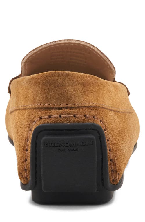 Bruno Magli Taranto Penny Loafer In Cognac Suede