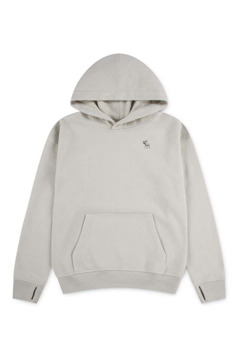 Kids' Essentials Fleece Hoodie, Main, color, PUMICE STONE
