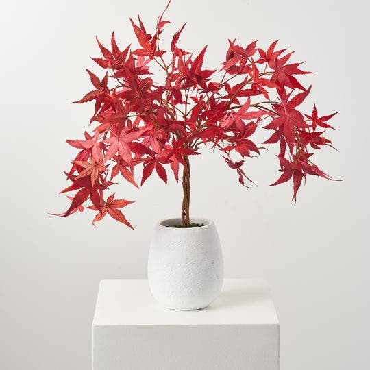 selected Red