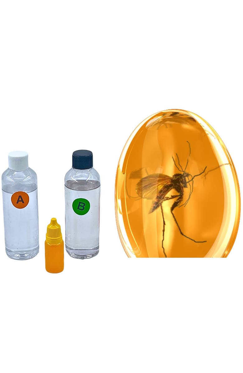 MODBOX DIY Fossilized Insect Casting Kit, Create Mosquito Fossils, STEM Kids 8+, Main, color, Multicolored