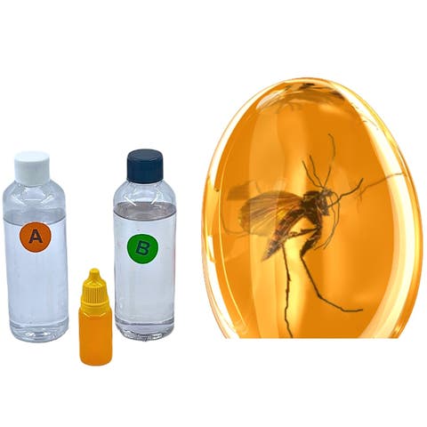 DIY Fossilized Insect Casting Kit, Create Mosquito Fossils, STEM Kids 8+