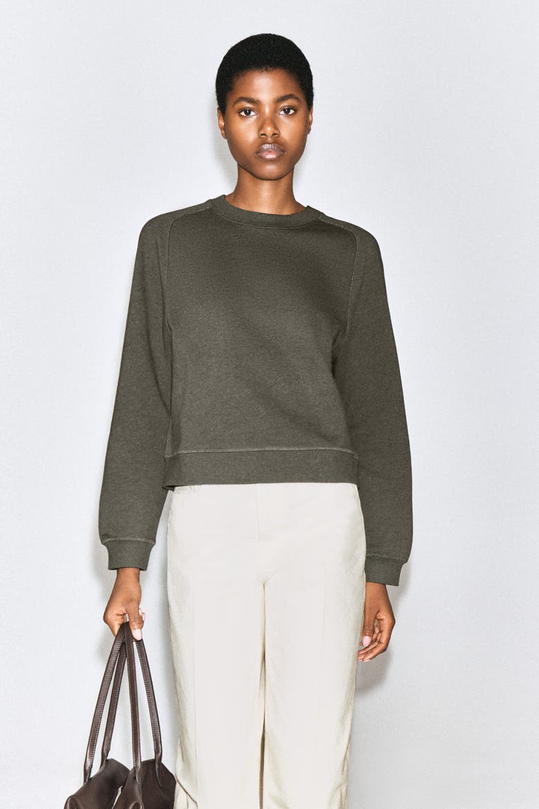 Cotton Sweatshirt, Alternate, color, BROWN