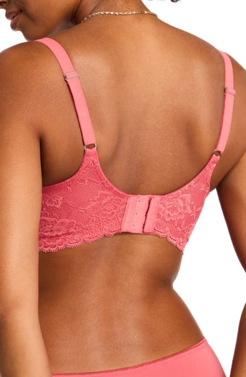 Montelle Intimates Muse Full Cup Lace Bra In Spiced Coral