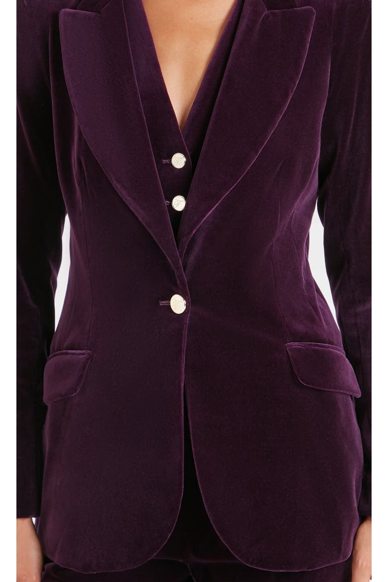 Clove Velvet Jacket, Alternate, color, Dark Amethyst