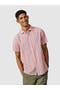  Coral Irregular Stripe