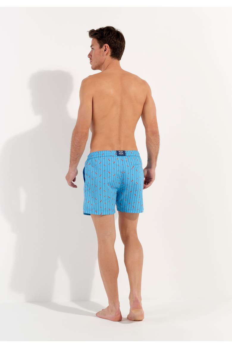 Espelette Beach Boxer, Alternate, color, Turquoise Print