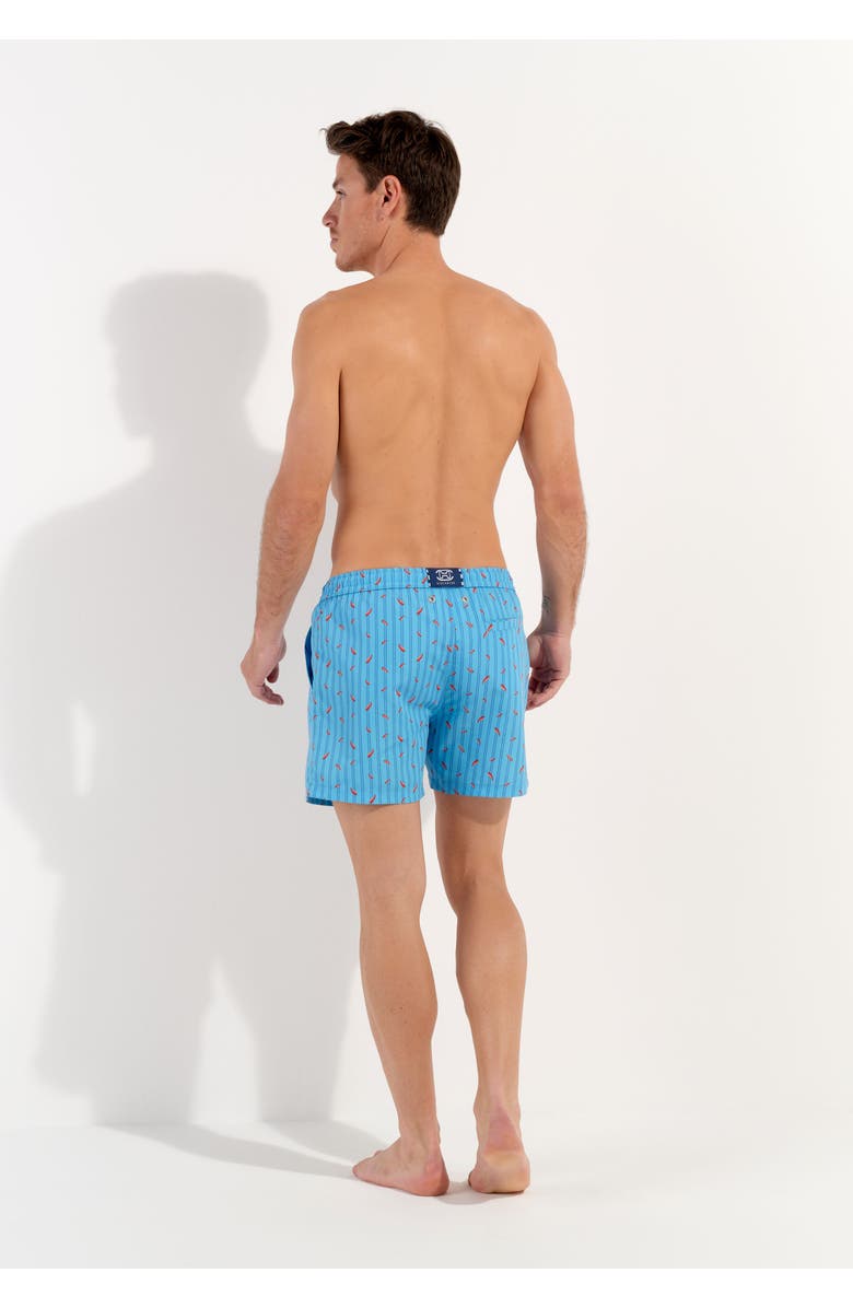 HOM Espelette Beach Boxer, Alternate, color, Turquoise Print