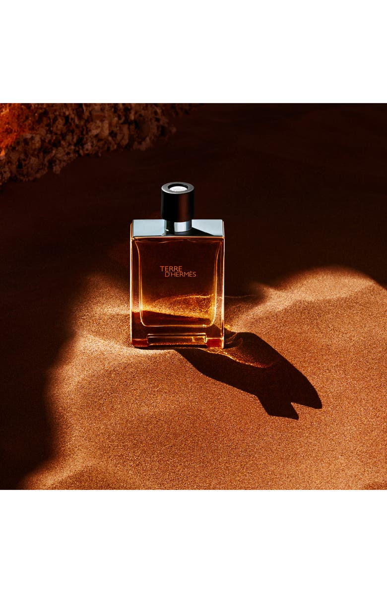 Hermès Terre d’Hermès - Eau de toilette set, Alternate, color, 