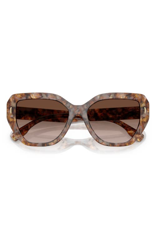 Tory Burch 55mm Cat Eye Sunglasses
