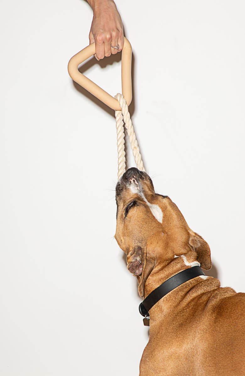 Wild One Triangle Tug Dog Toy, Alternate, color,