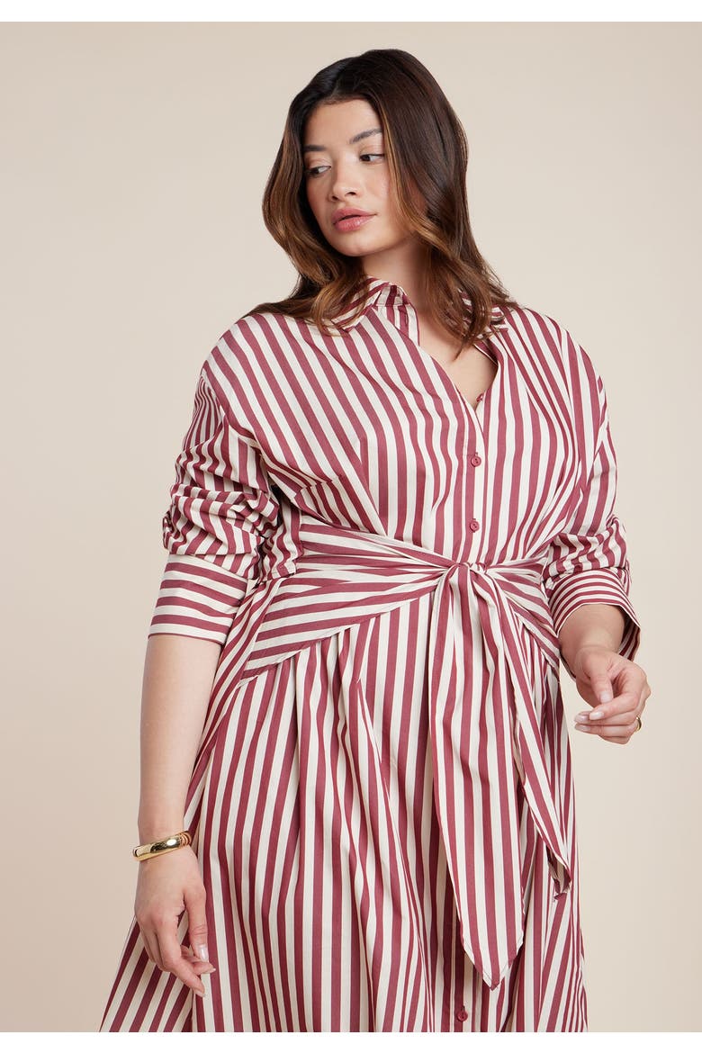 Cinch Detail Poplin Midi Dress, Alternate, color, MADDER ROOT
