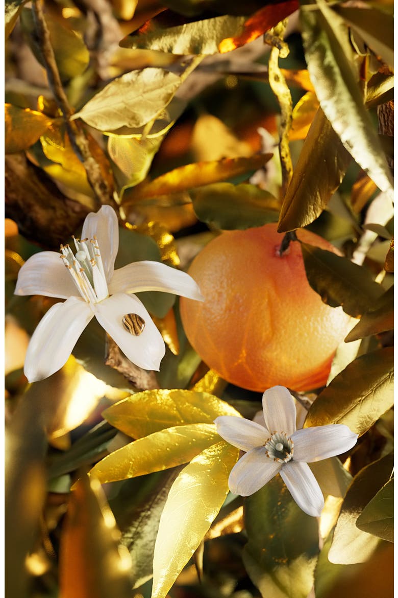 Le Gemme Tygar Eau de Parfum, Alternate, color, NO COLOR