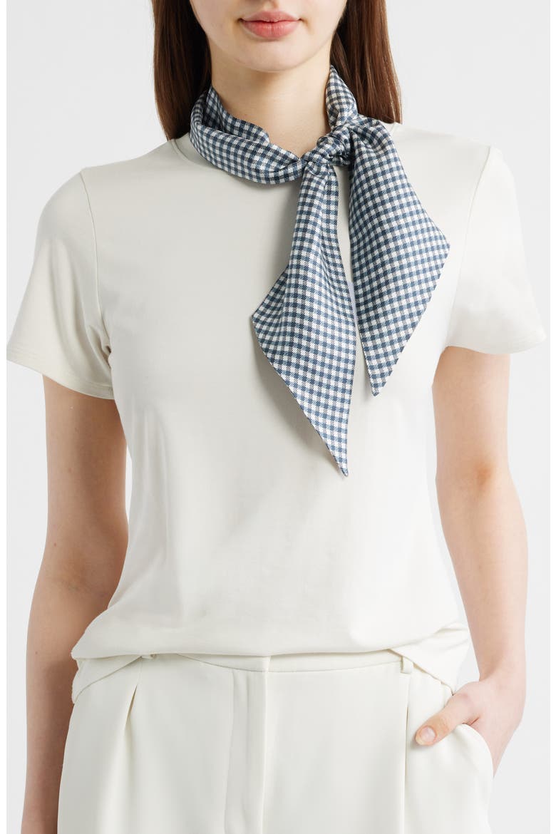 Gingham Ribbon Silk Scarf, Main, color, COASTAL BLUE