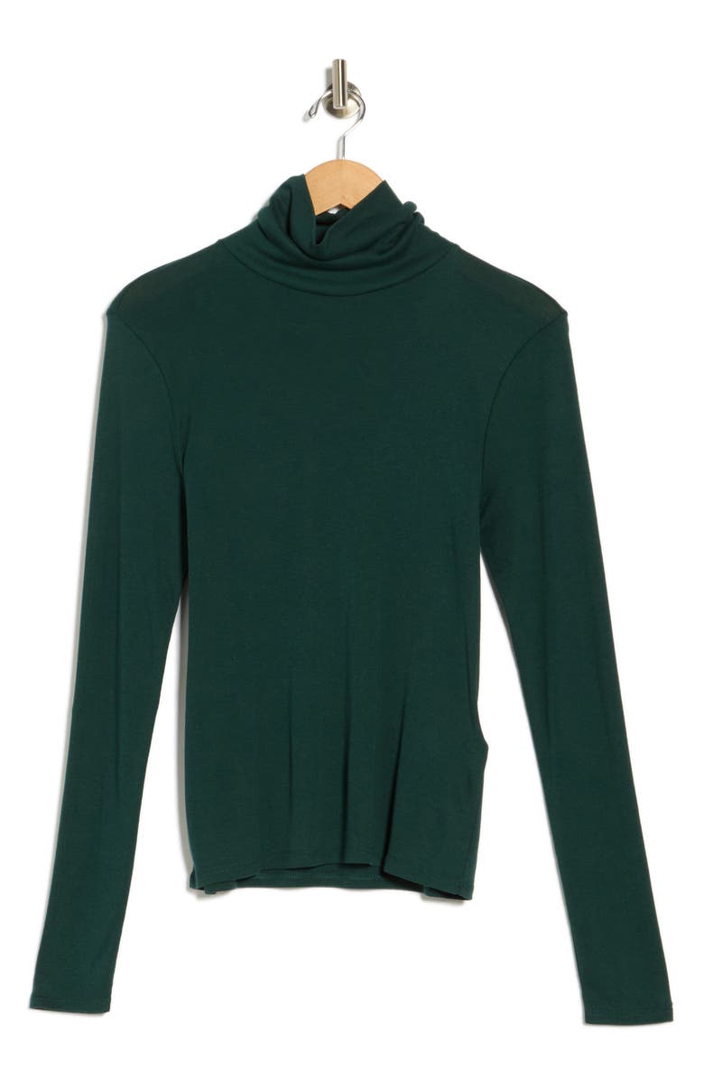 Eileen Fisher Turtleneck Long Sleeve Top, Alternate, color, Fir