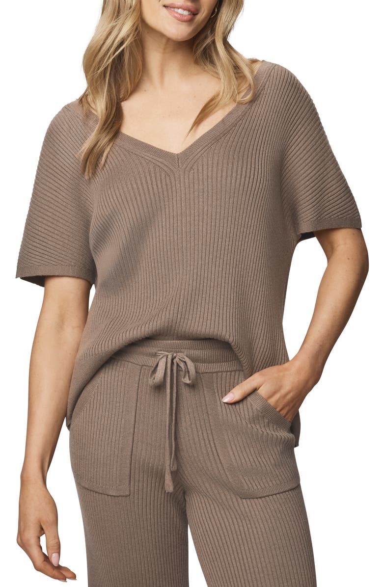 Splendid Georgie V-Neck Short Sleeve Rib Sweater, Main, color, Cedar Brown