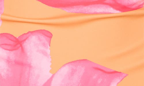 Hutch Roseanna One Piece Swimsuit