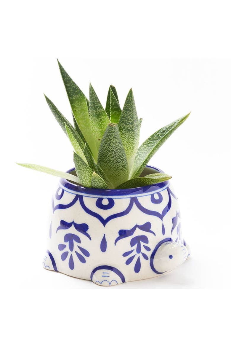 Lalita Mama Turtle Succulent Planter, Main, color, Multicolor