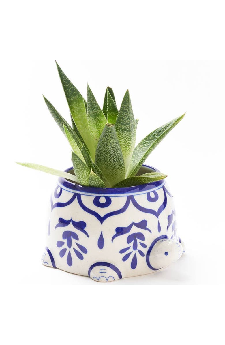 Matr Boomie Lalita Mama Turtle Succulent Planter, Main, color, Multicolor