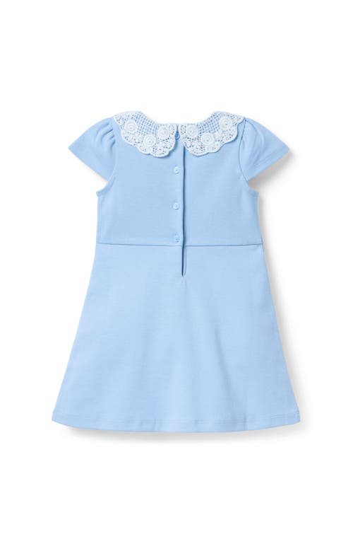 Janie And Jack Lace Collar Ponte Dress In Blue