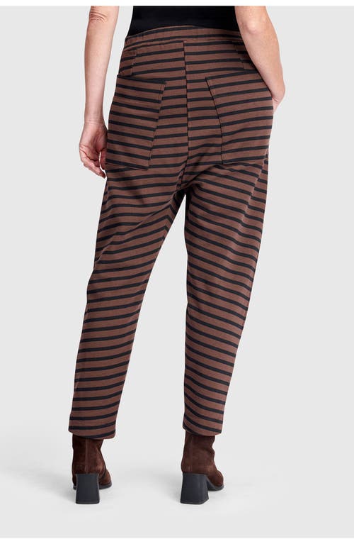 Alembika Dash Harem Pants In Multi