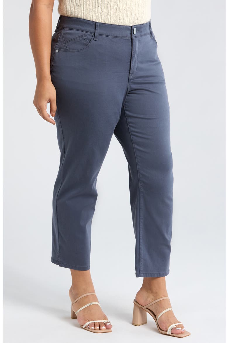 High Waist Ankle Straight Leg Pants, Alternate, color, SHADOW