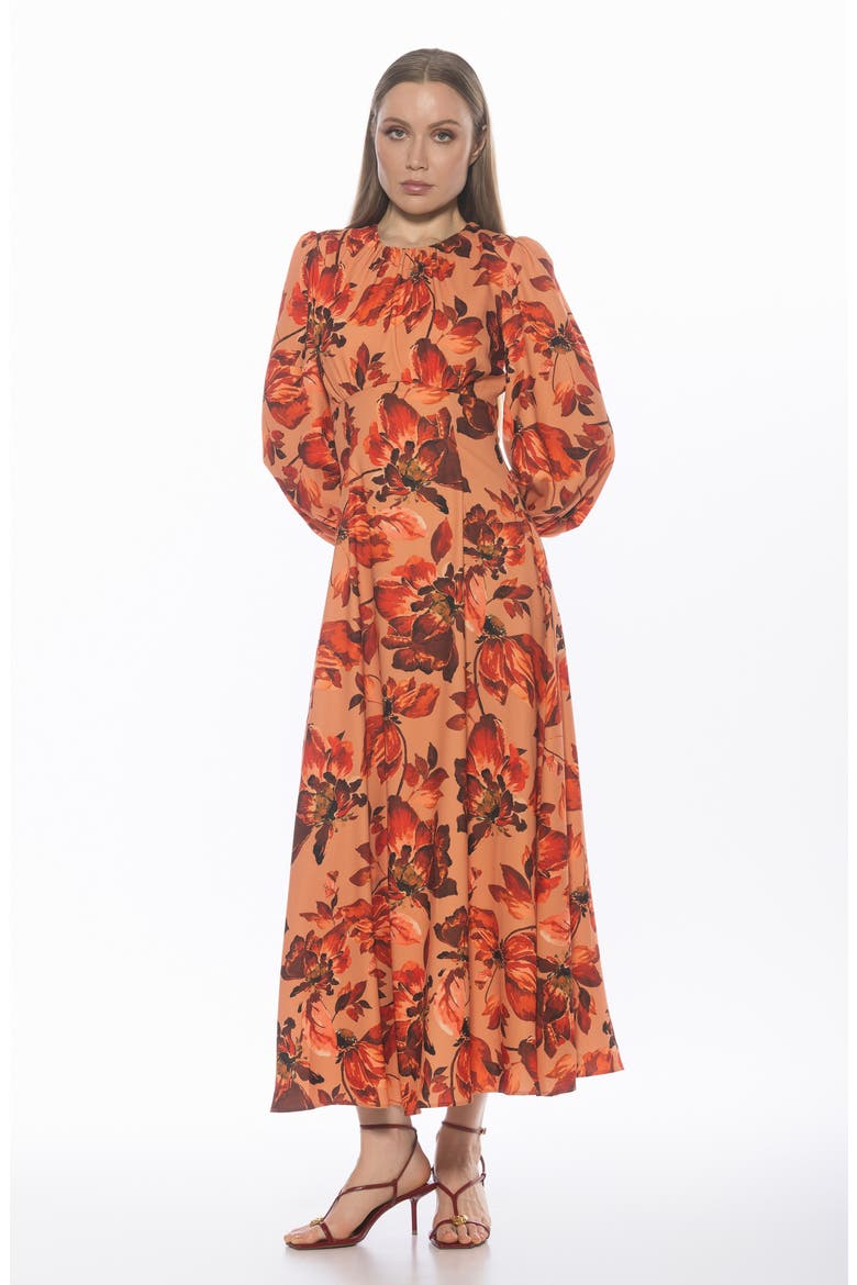 Yesenia Long Sleeve Empire Waist Maxi Dress, Alternate, color, RUST FLORAL